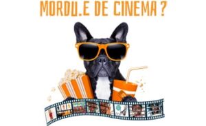 Gîte d&rsquo;Étape d&rsquo;Ovifat